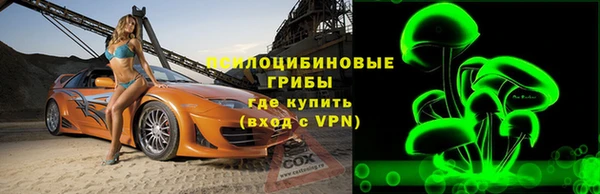 ПСИЛОЦИБИНОВЫЕ ГРИБЫ Вязьма