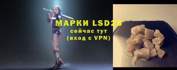 ПСИЛОЦИБИНОВЫЕ ГРИБЫ Вязьма