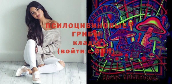 ПСИЛОЦИБИНОВЫЕ ГРИБЫ Вязьма
