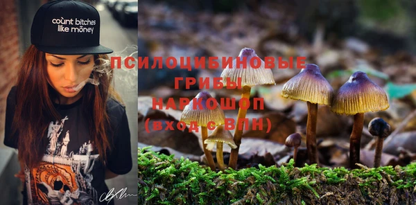 ПСИЛОЦИБИНОВЫЕ ГРИБЫ Вязьма