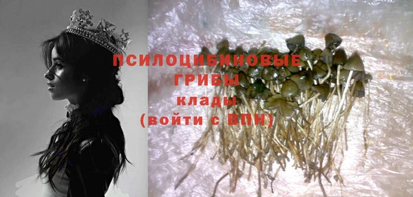 а пвп мука Вяземский