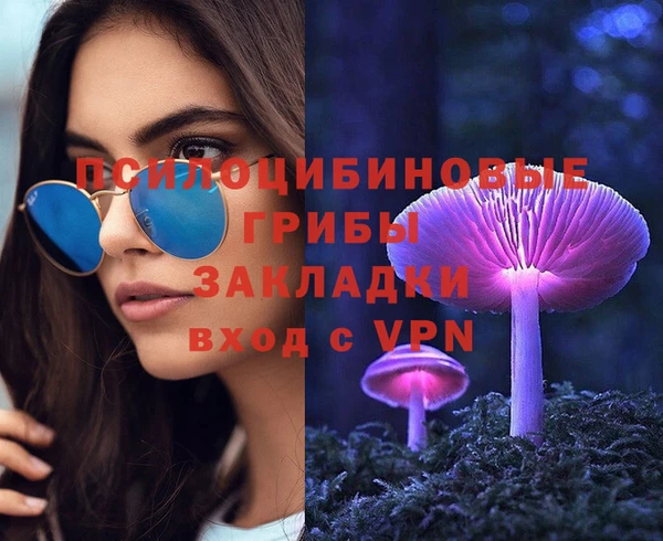 а пвп мука Вяземский