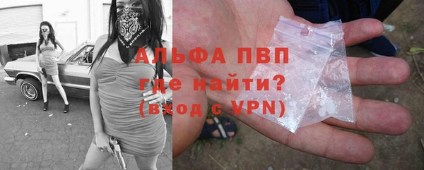 ПСИЛОЦИБИНОВЫЕ ГРИБЫ Вязьма