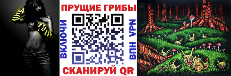 Псилоцибиновые грибы MAGIC MUSHROOMS  Купить закладки  Малоярославец 